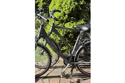Vakantiehuis in het eilanddorp Xanten