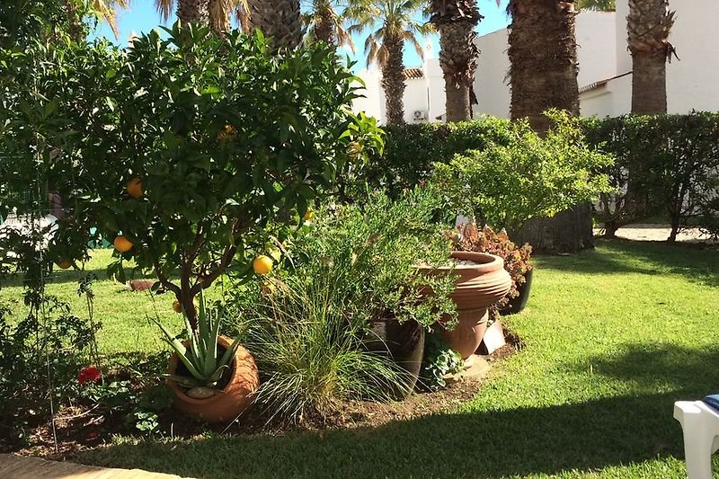 Jardín del Club Monte Carvoeiro