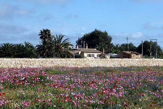 Finca Palmera , Estrenc Strand