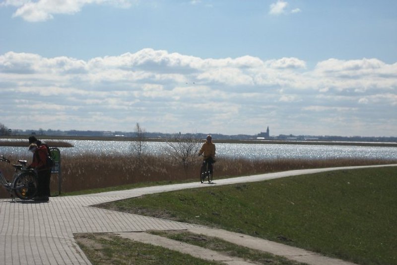 Radtouren auf gut ausgebauten Wegen an Bodden und Ostsee