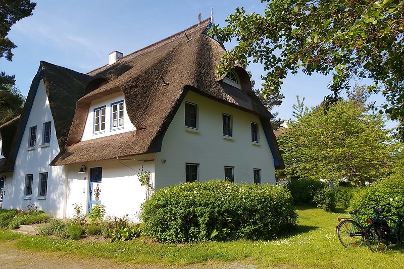 Urlaub unter dem Reetdach im 1. OG