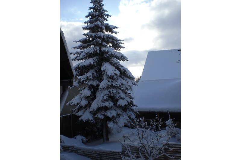 Ein winterliches Haus mit verschneitem Dach und umgeben von Bäumen.