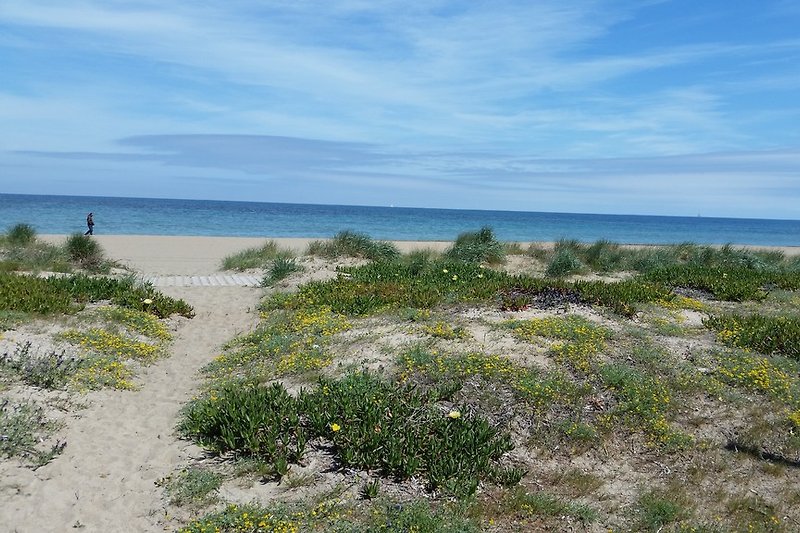 Directly on the 20 km long fine sandy beach. 10 min walk to the city of Denia and the harbor.
