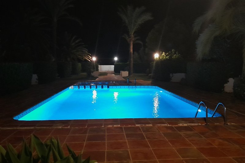 Schwimmbad mit rechteckigem Becken, Palmen und Nachtbeleuchtung