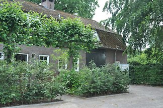 Apartamento "nivel Op"