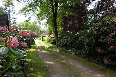 Cottage rosso Ammerland