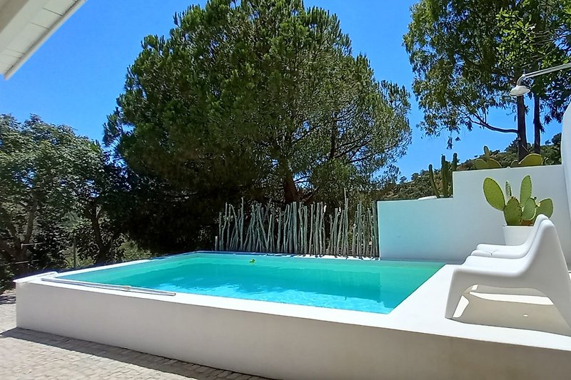 Privater Pool mit Holzterrasse, umgeben von grüner Landschaft.