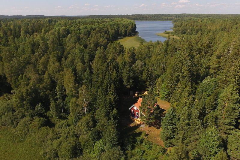 Das Haus ist vom Wald und Wasser umgeben