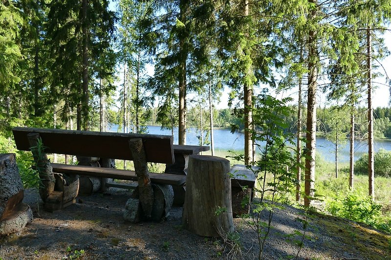 Sitzgruppe im Wald mit Seeblick