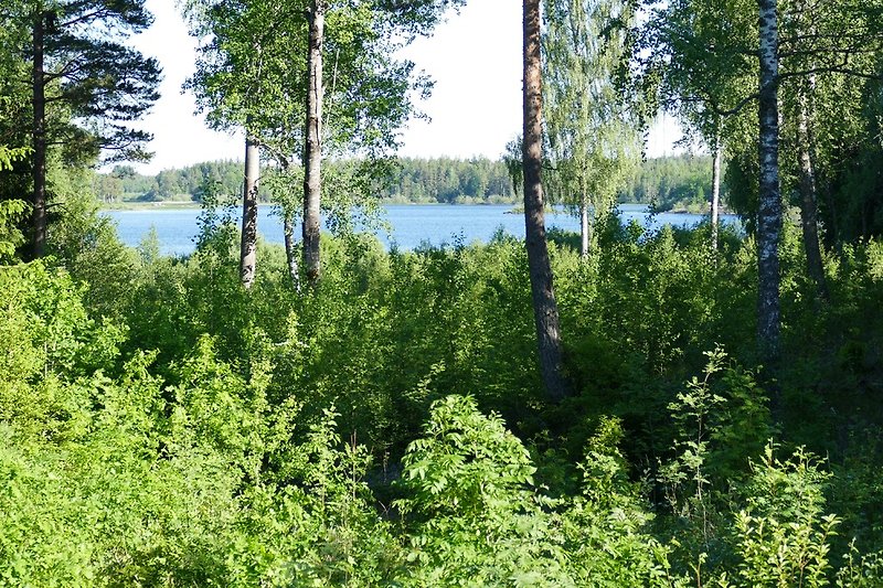 Toller seeblick von der Terrasse