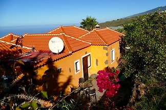 Casa Mandarina