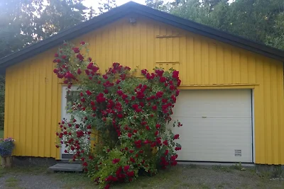Ferienhaus Raskerud in Alleinlage