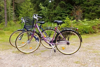 Ferienhaus Raskerud in Alleinlage