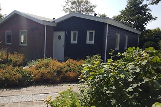 Seepferdchen 6 pers