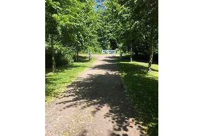 Am Dunoweg, max 4 und kleine Hund