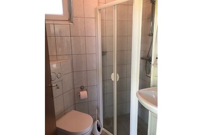 Zeemeeuw, 4p, ´22 neu!Doppelbtt Zmr