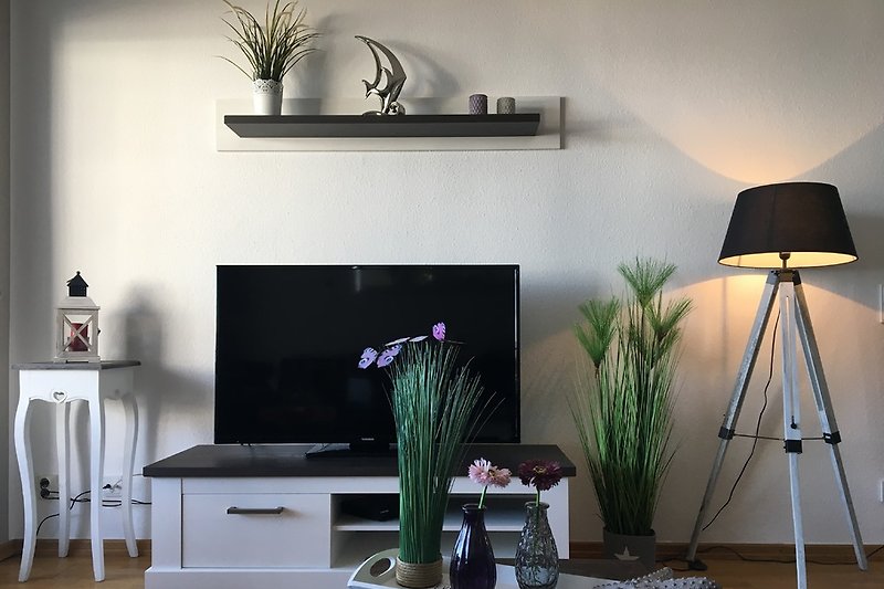 TV-Möbel mit 50“ Flat-TV