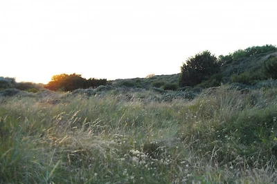 Casa Port Greve Ostrea 4