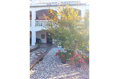 Apartments MARJANA