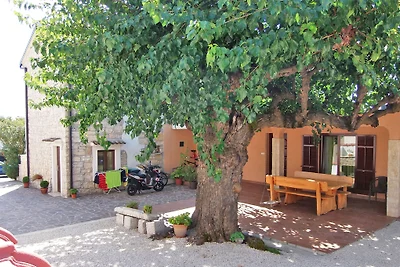Apartments BORIS