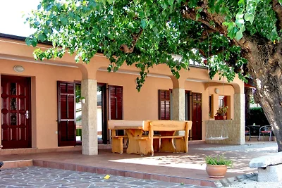 Apartments BORIS
