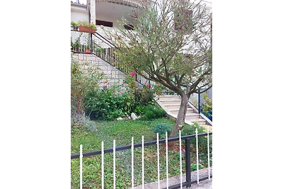 Apartments MORE