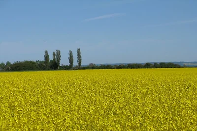 Casa vacanze in campagna