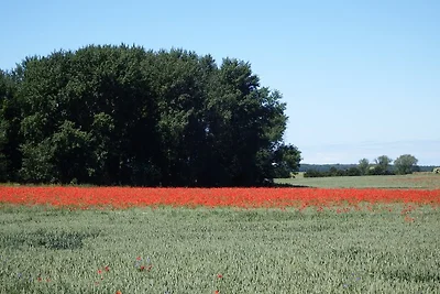 Casa vacanze in campagna