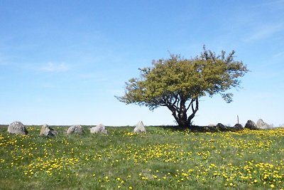 Urlaub mit Panoramablick