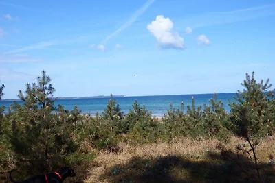 Vacanza con vista panoramica