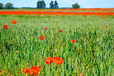 Vacanza con vista panoramica