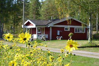 Traumhaftes Ferienhaus, Wasserblick