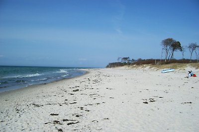 Ferienwohnung Graureiher