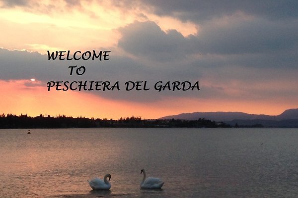 Sig.ra L. LORO Sig.ra L. LORO