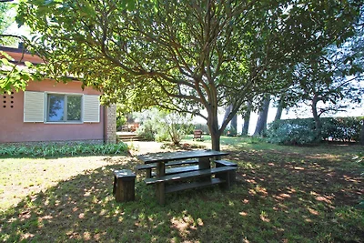 Ferienhaus 5 m vom Kiesstrand