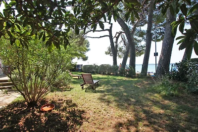 Ferienhaus 5 m vom Kiesstrand