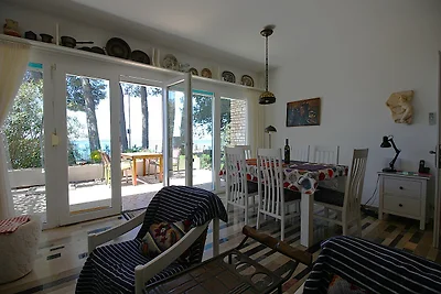 Ferienhaus 5 m vom Kiesstrand