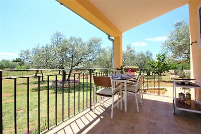 Ferienhaus in Olivenoase
