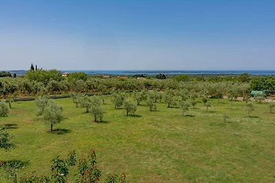 Sommerferienhaus mit Meerblick