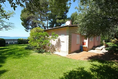 Ferienhaus 5 m vom Kiesstrand