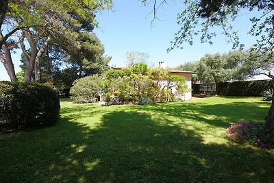 Ferienhaus 5 m vom Kiesstrand