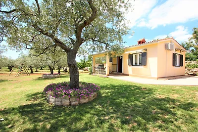 Ferienhaus in Olivenoase