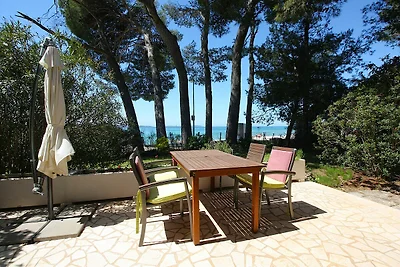Ferienhaus 5 m vom Kiesstrand