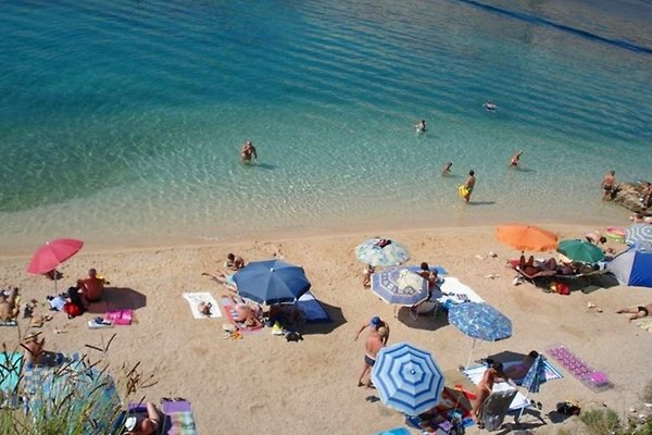 Apartment Maria *** Barbat, Rab in Barbat - immagine 1 Apartment Maria *** Barbat, Rab in Barbat - immagine 1