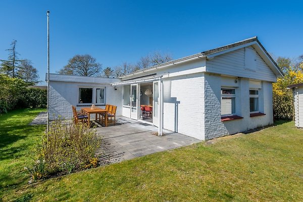 Ferienhaus Renesse
