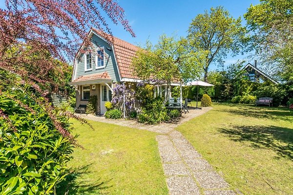 Ferienhaus Renesse