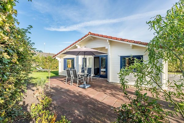 Ferienhaus Renesse