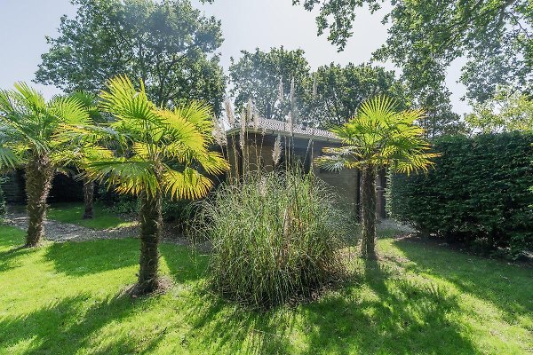 Ferienhaus Renesse