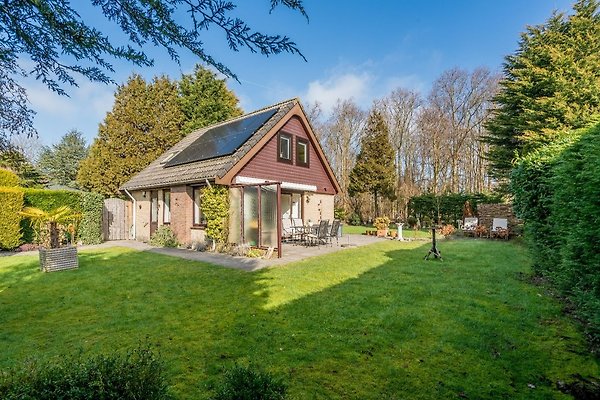 Ferienhaus Renesse