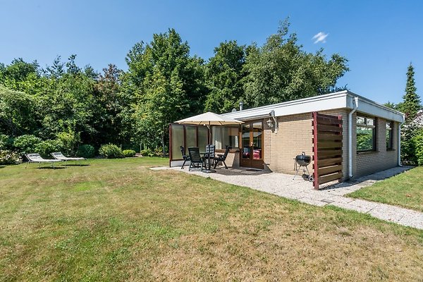 Ferienhaus Renesse